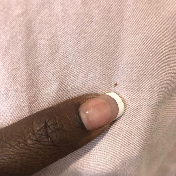 American Eagle pink zip front lightweight jacket - Picture 8 of 12